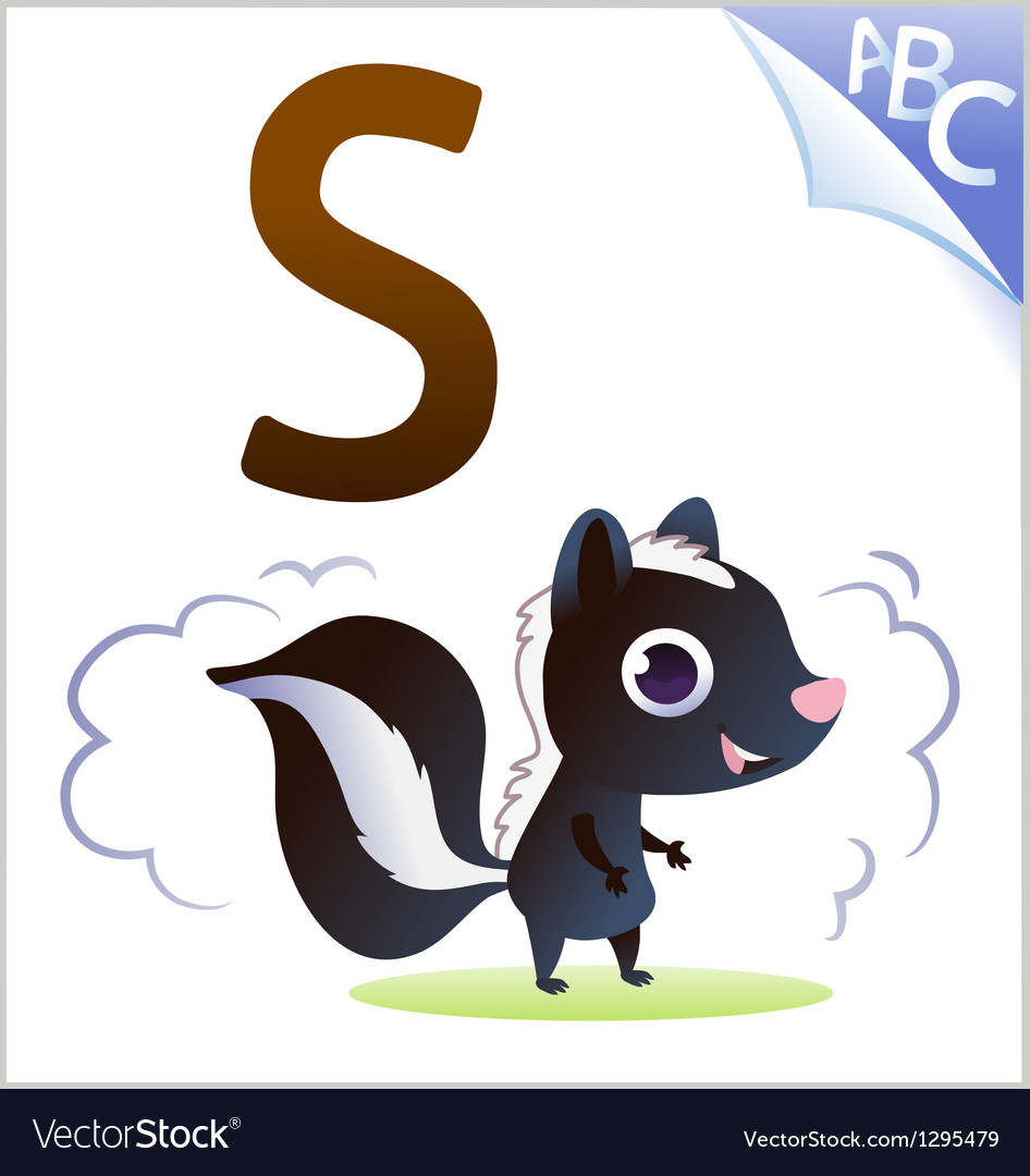 Animal alphabet for the kids s for the skunk Vector Image