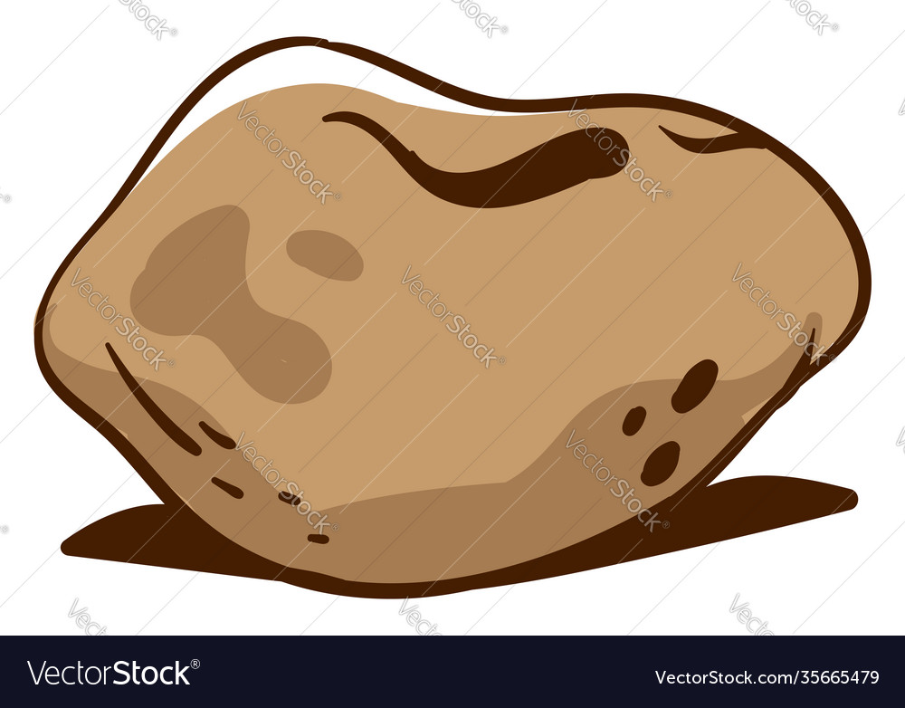 Brown potato on a white background