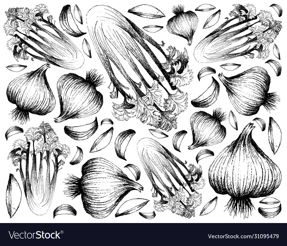 Hand drawn celery and garlic background