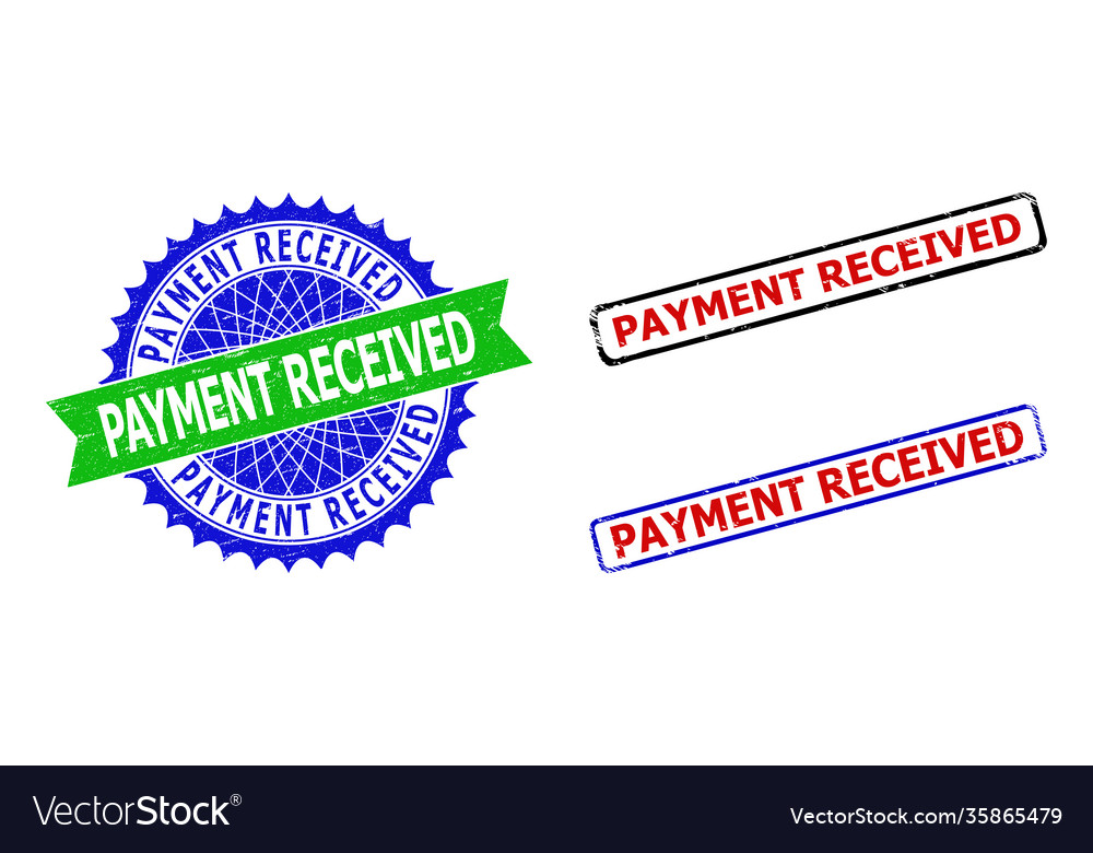 Payment received rosette and rectangle bicolor Vector Image