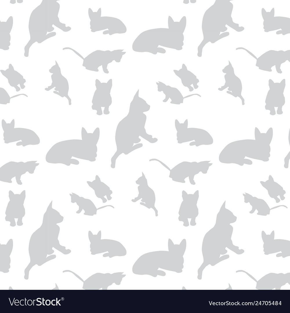 Cats silhouette pattern background