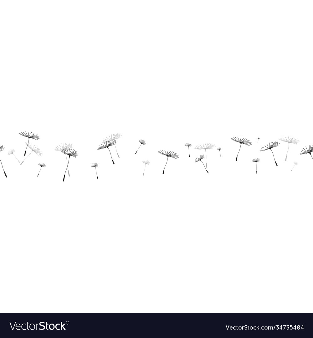 Seamless pattern dandelions isolated vector image Seamless pattern dandelions isolated