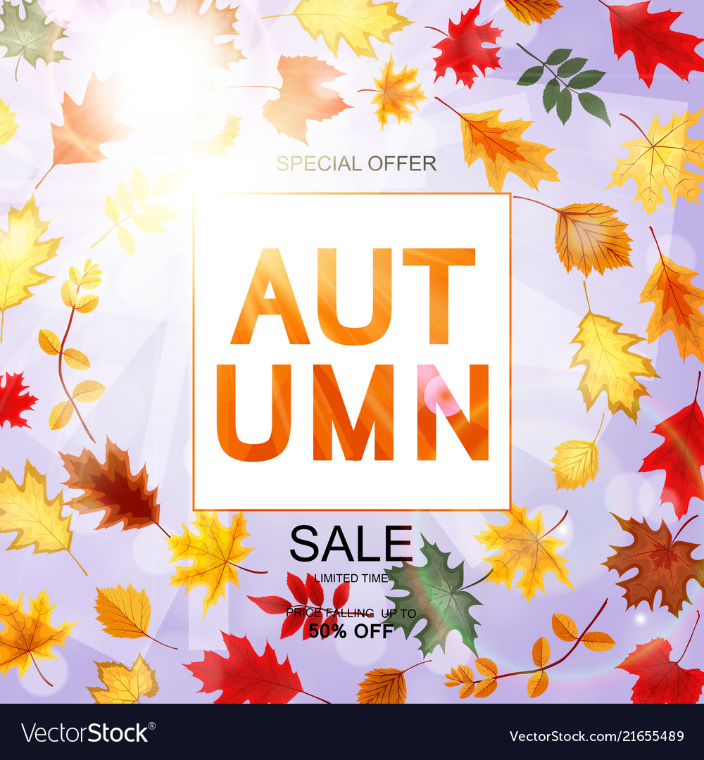 Abstract autumn sale