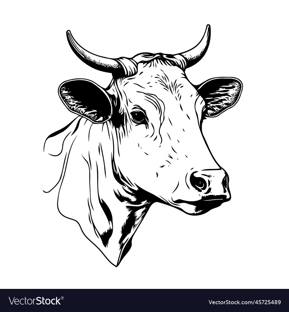 Minimalist lineart style symbol with cow animal Vector Image