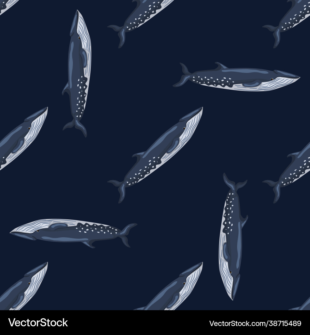 Seamless pattern sei whale on black background Vector Image