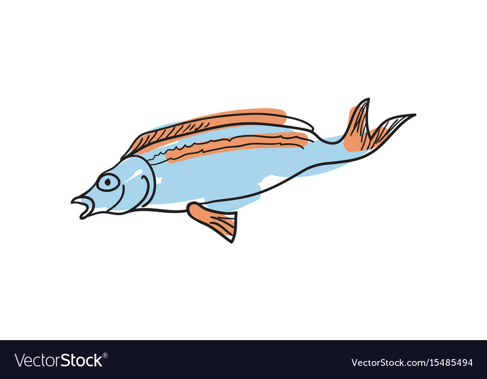 Ocean fish hand drawn isolated icon