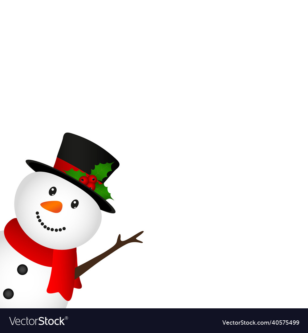 Christmas snowman on a white background Royalty Free Vector