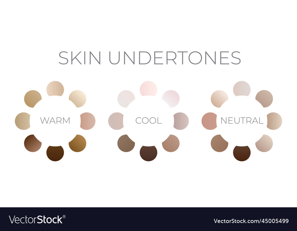 Gradient Skin Color Swatches With Undertones Vector Image Gradient Skin Color Swatches With Undertones Vector Image