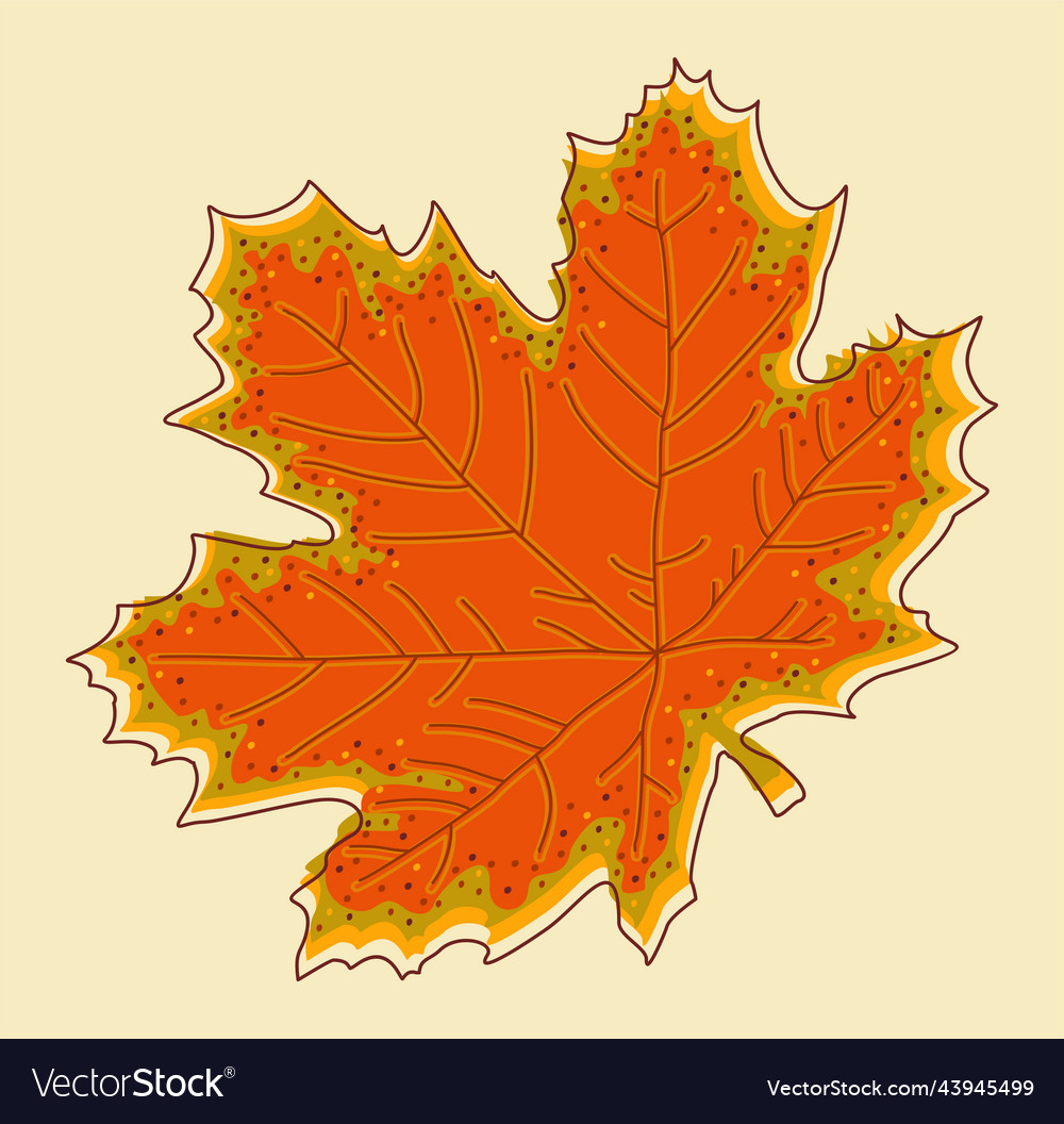 Maple Royalty Free Vector Image - VectorStock