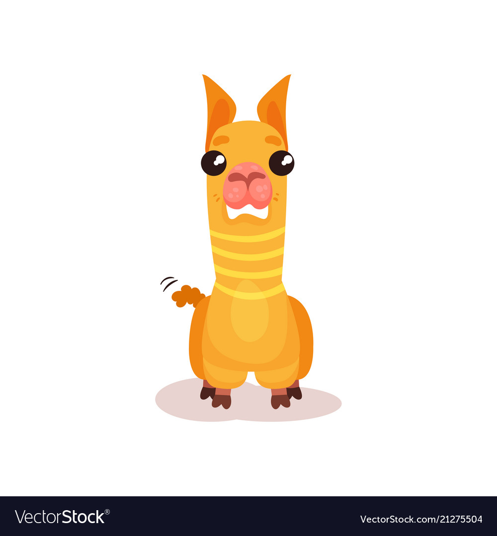 Funny llama alpaca cartoon character standing