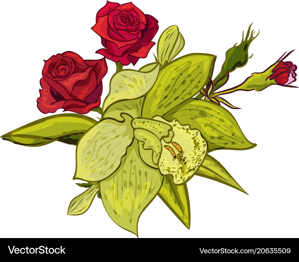 Bouquet of flowers Royalty Free Vector Image - VectorStock