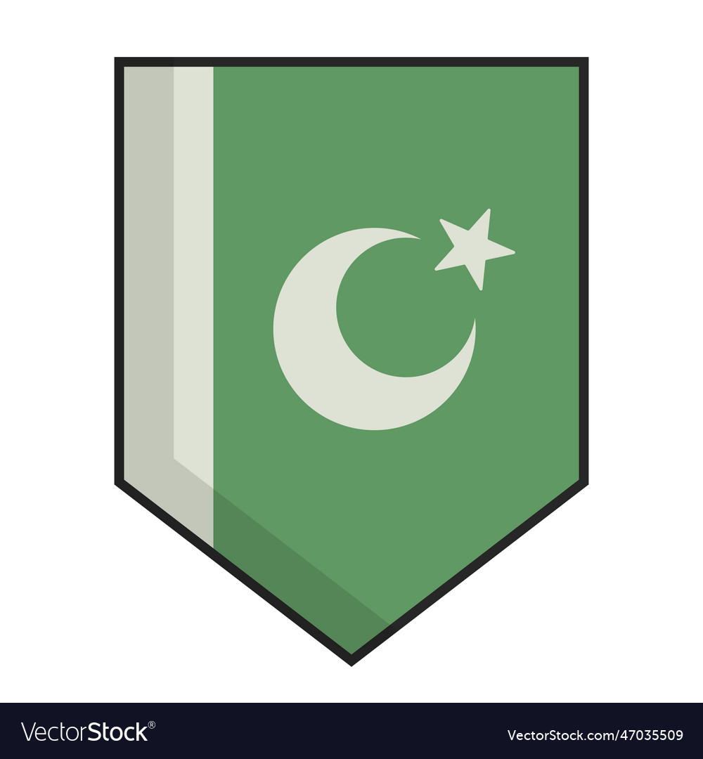 Flat design pakistani flag pennant icon