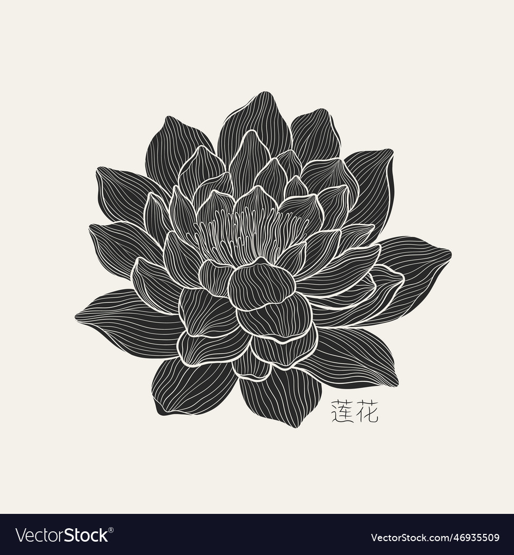 Freehand of a lotus with thin graceful lines Vector Image Freehand of a lotus with thin graceful lines Vector Image