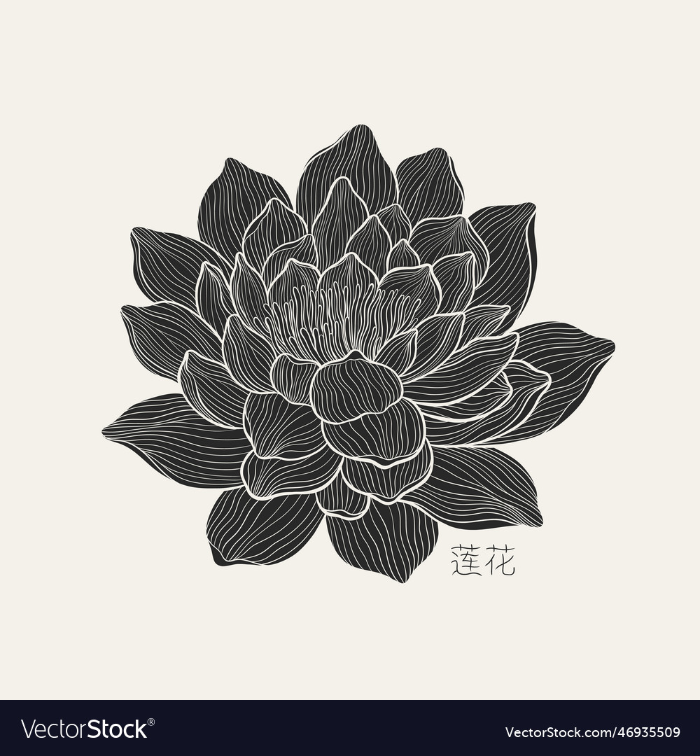 Freehand of a lotus with thin graceful lines