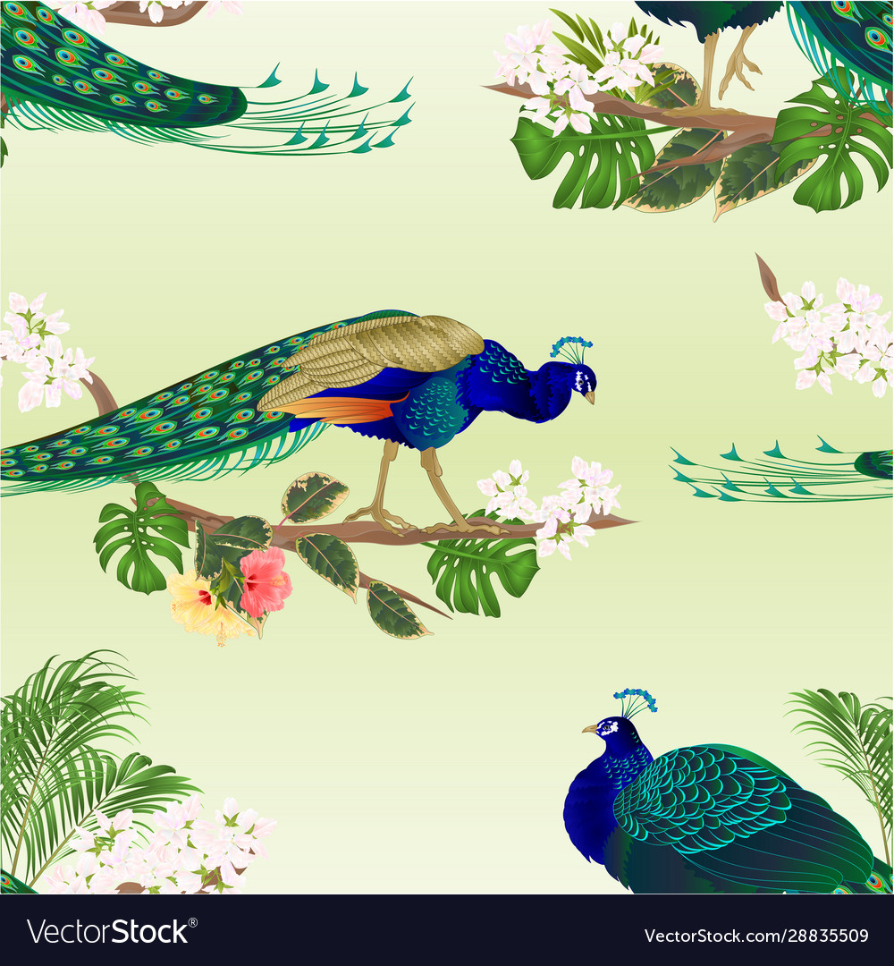 Seamless texture two peacocks tropical birds