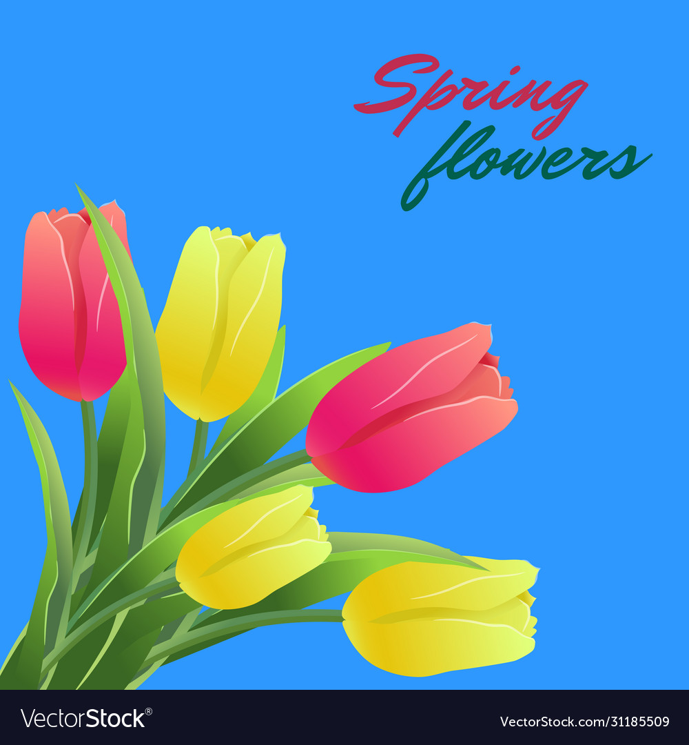 Tulips simless pattern card3-01 vector image Tulips simless pattern card3-01