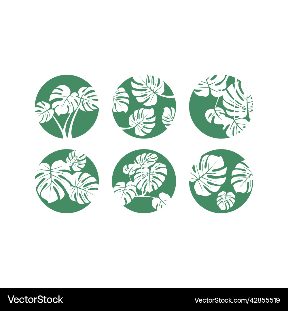 Monstera leaf set bundle icon Royalty Free Vector Image