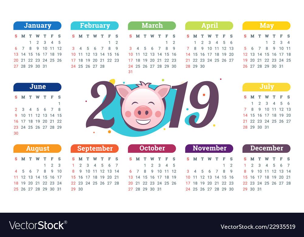 Pig calendar for 2019 cute month calendar Vector Image