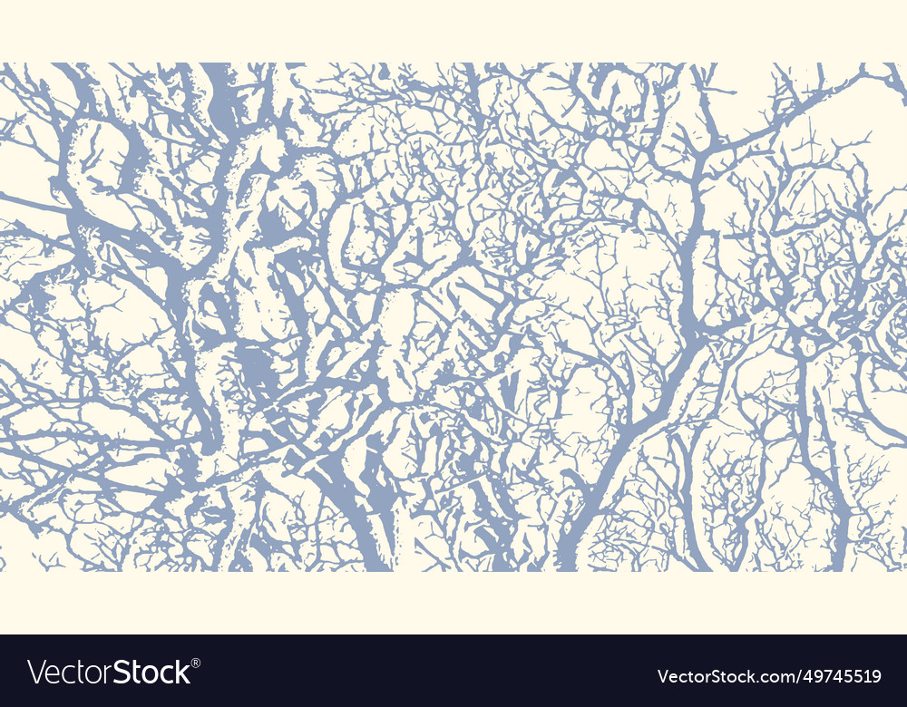 Tree branches with snow in winter texture