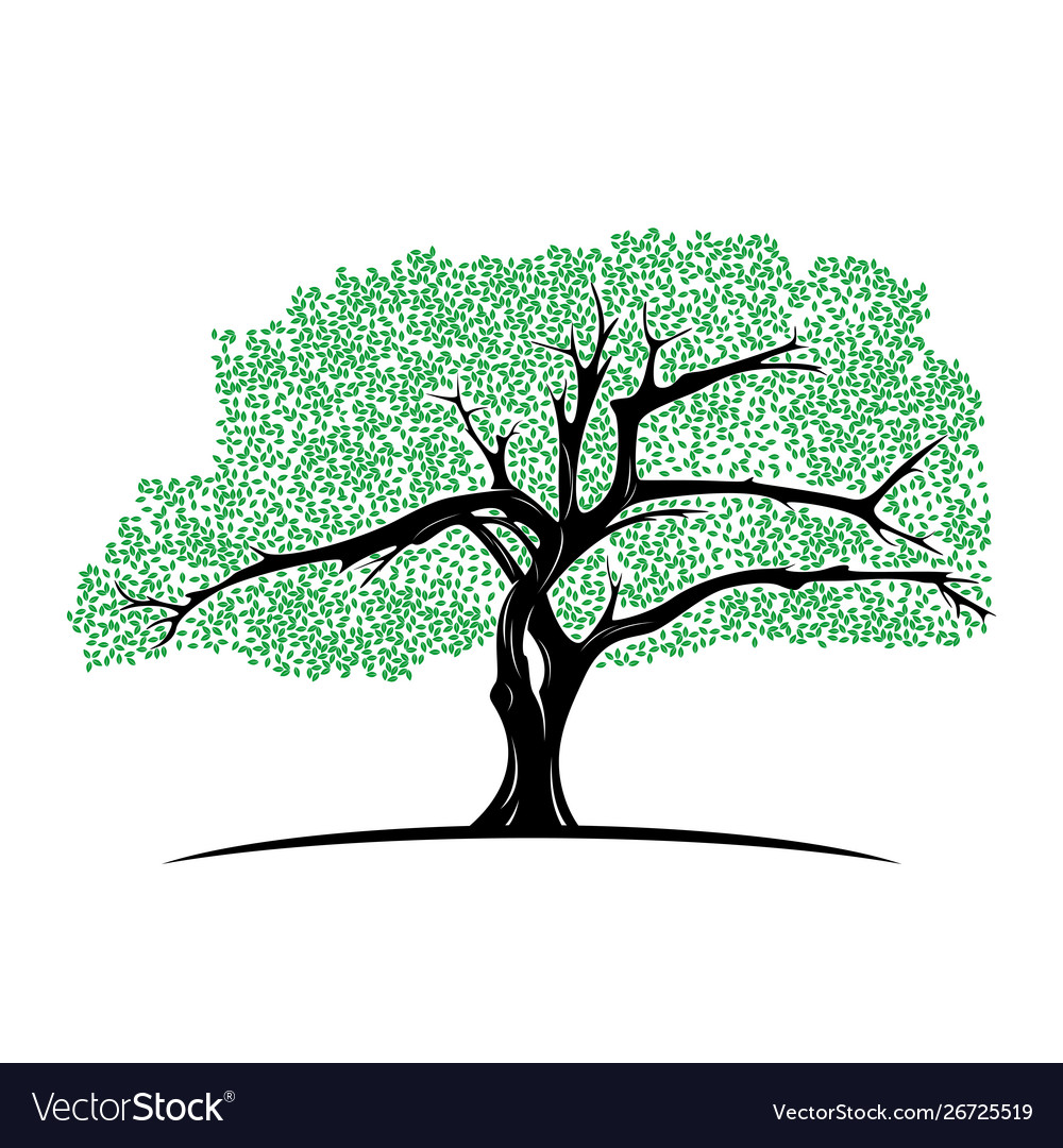 Tree life logo design inspiration template