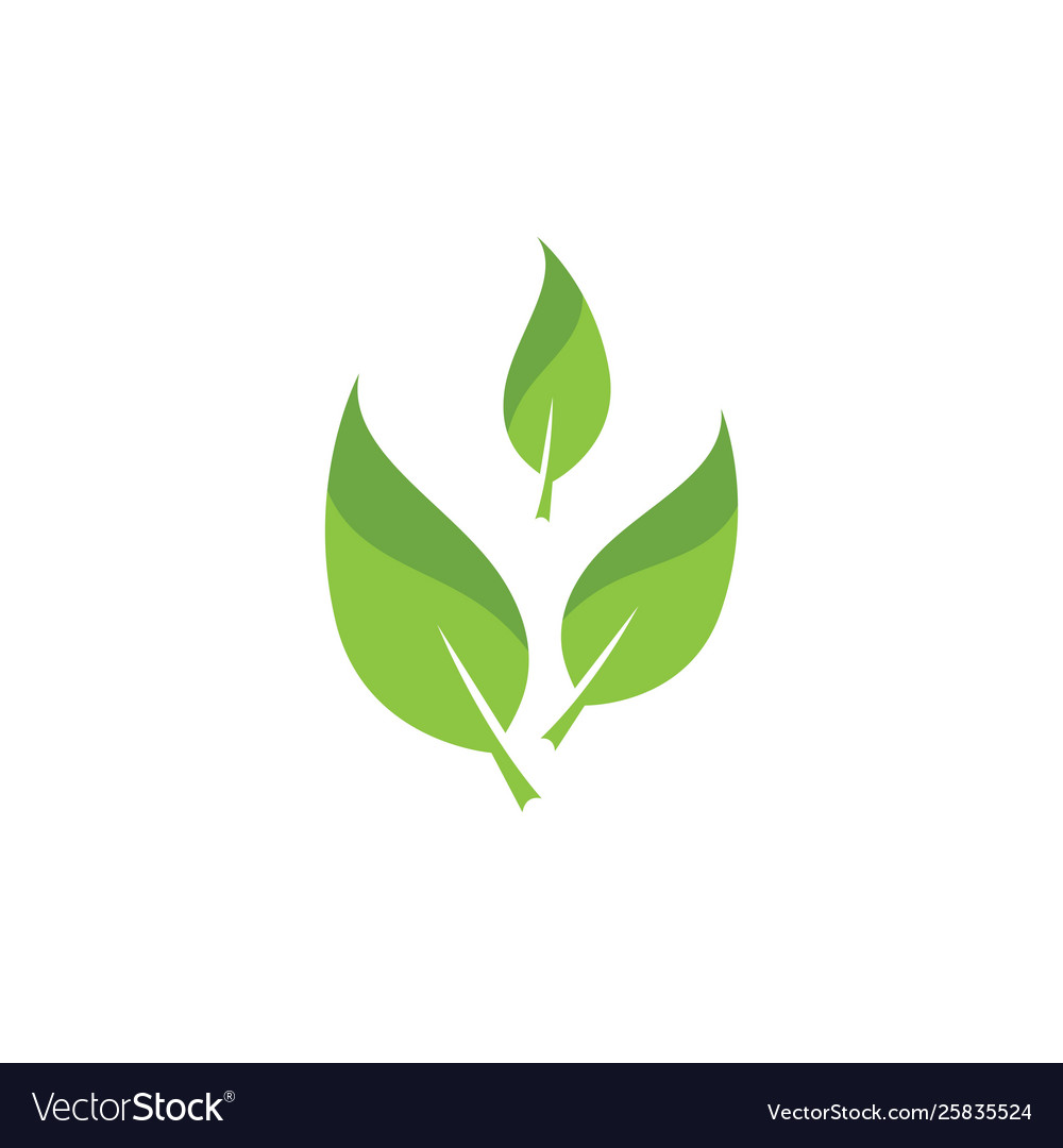 Green leaf ecology nature element Royalty Free Vector Image