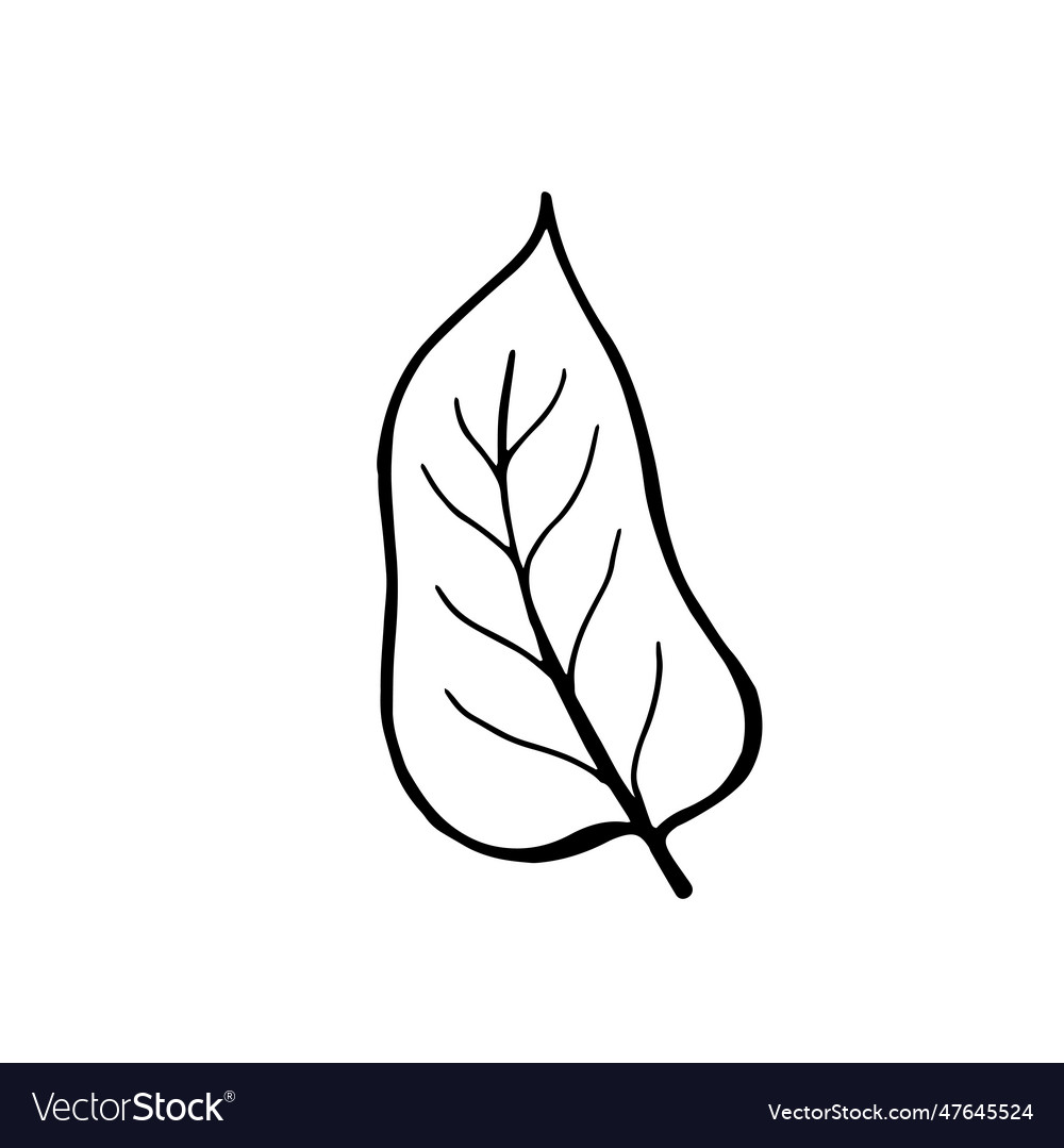 Line Drawing Abstract Fall Leaf Minimal Royalty Free Vector