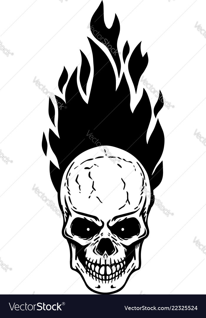 Skull With Fire On White Background Design Vector Image