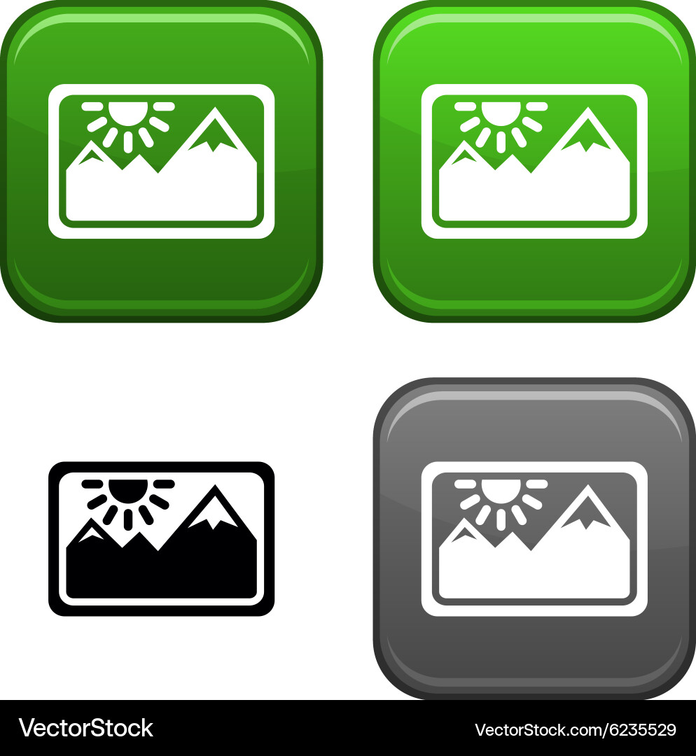 Picture button Royalty Free Vector Image - VectorStock