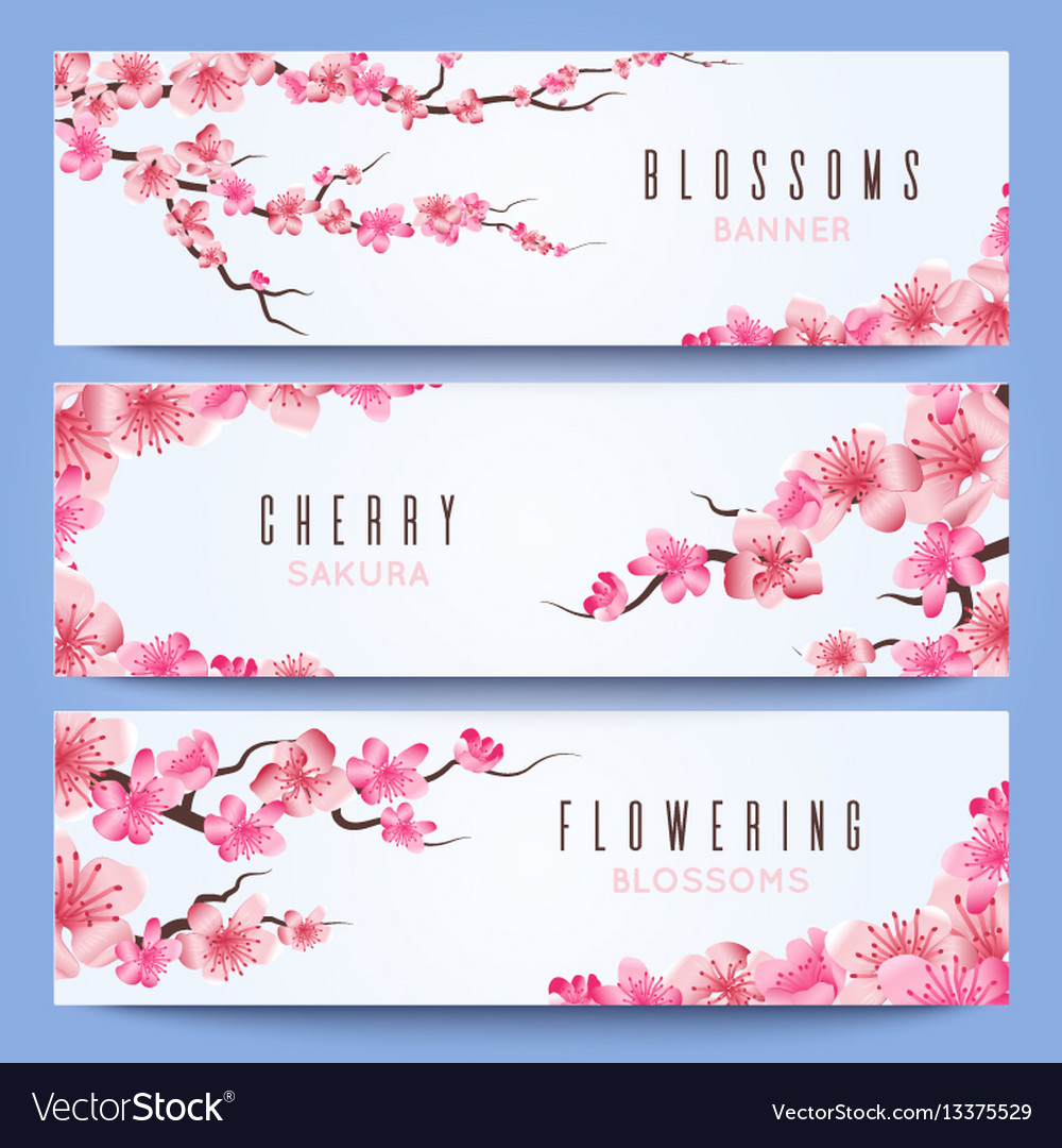 wedding banners template with spring japan sakura spring template