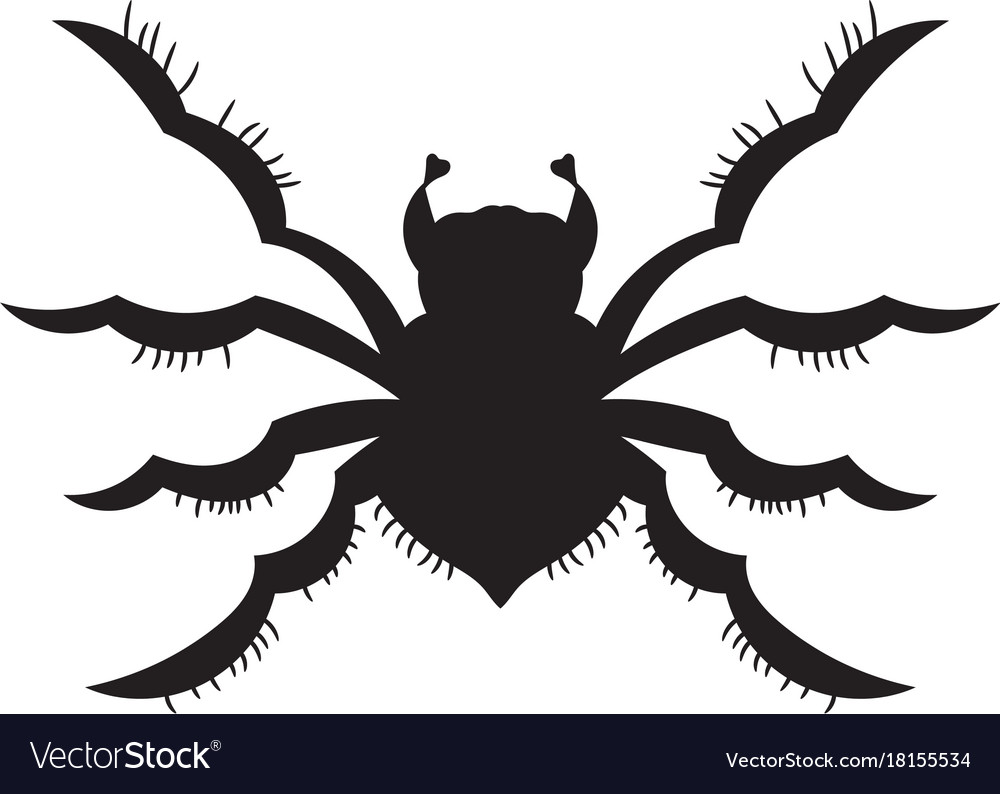 Black spider silhouette