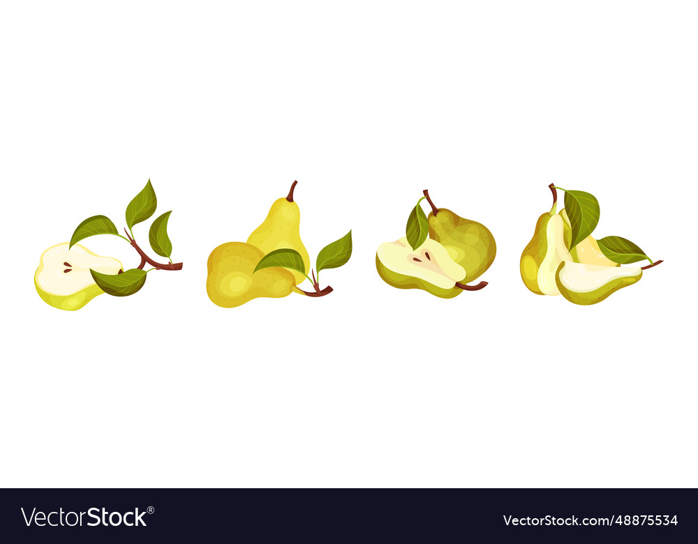 Green pear fruit with stem and leaf set Royalty Free Vector