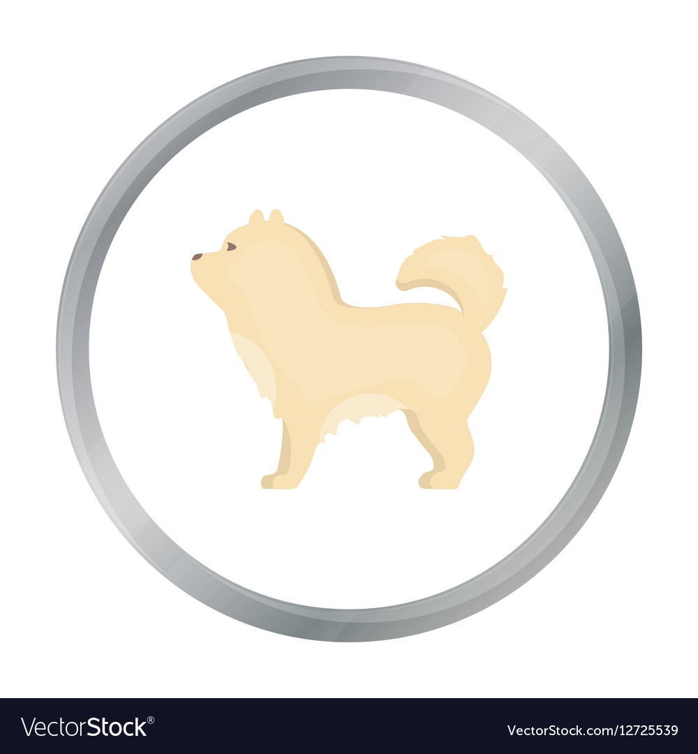 Chow-chow icon in cartoon style for web