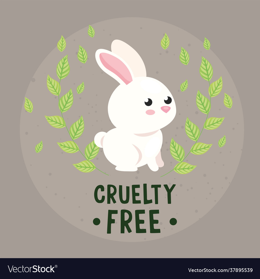 Cruelty free rabbit Royalty Free Vector Image - VectorStock