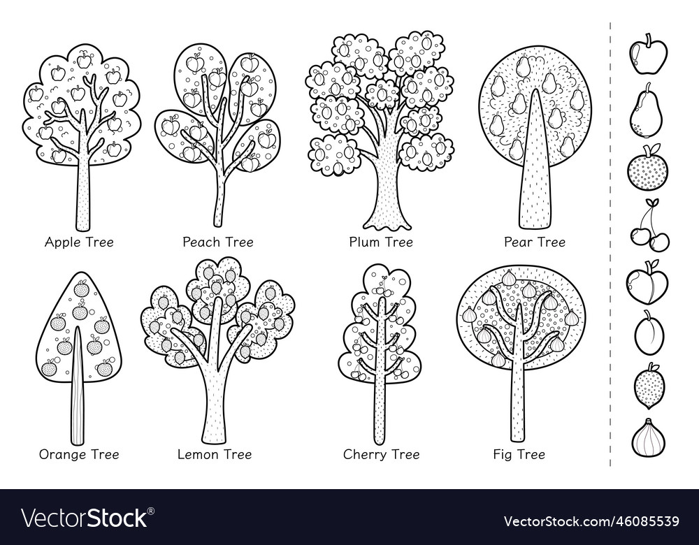 Doodle fruit trees black and white collection