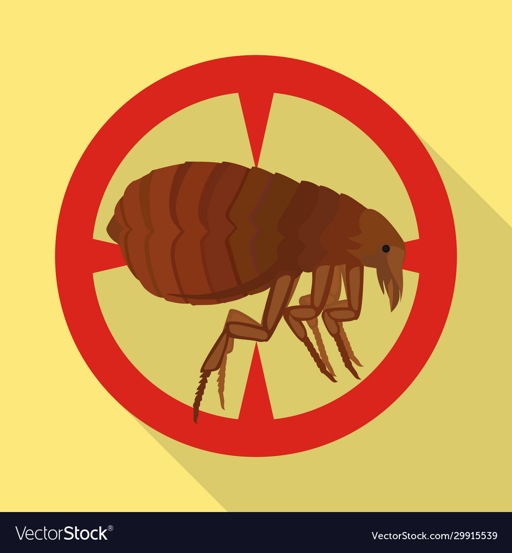 Flea iconflat icon isolated vector image Flea iconflat icon isolated