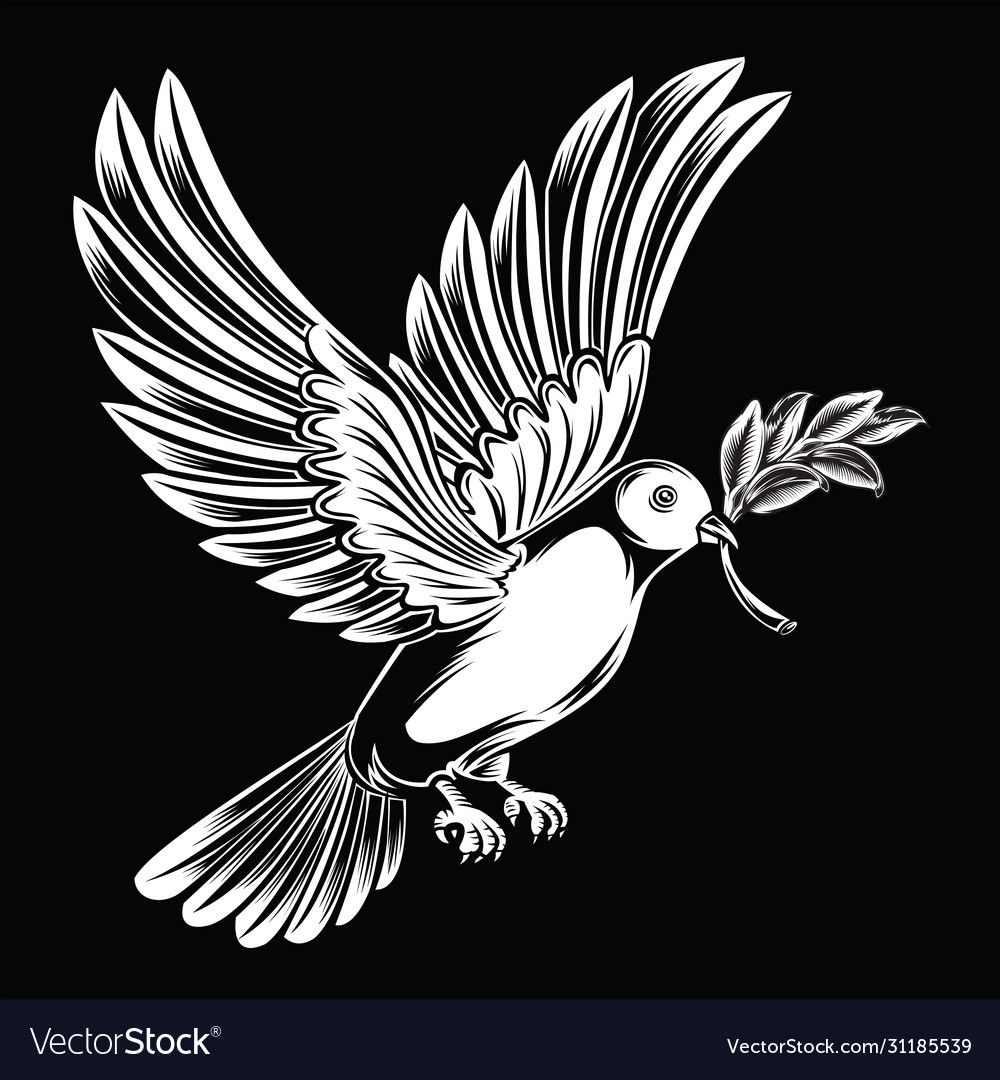 Peace pigeons birds annimal on black background Vector Image