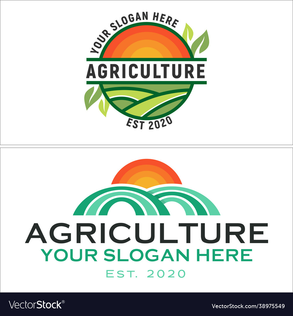 Farming agriculture logo design with grass sun