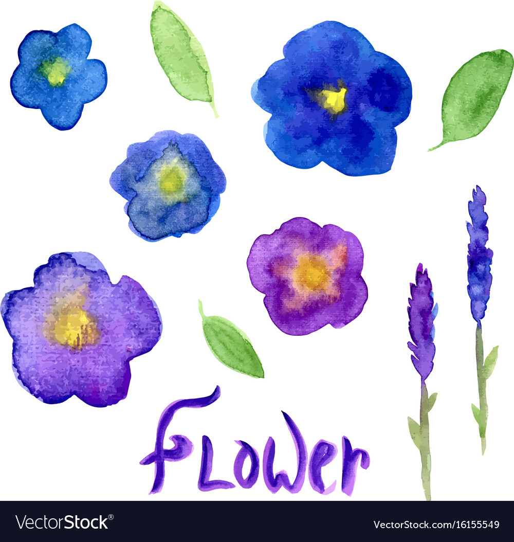 Lavender and viola watercolor collection violet