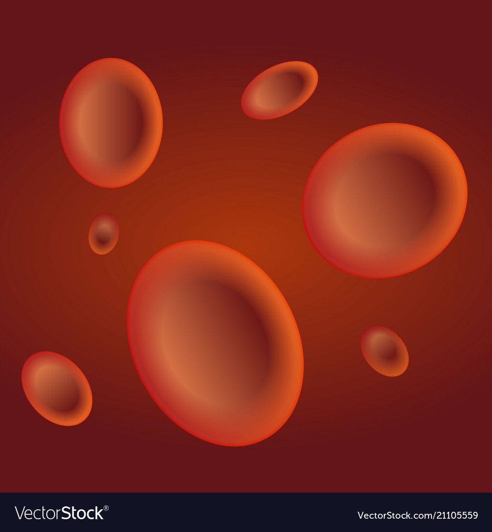 Red blood cells Royalty Free Vector Image - VectorStock