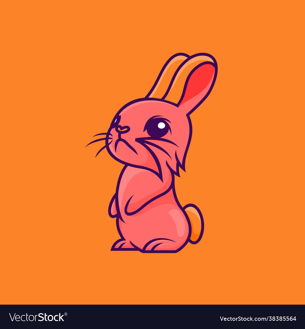 Cute rabbit