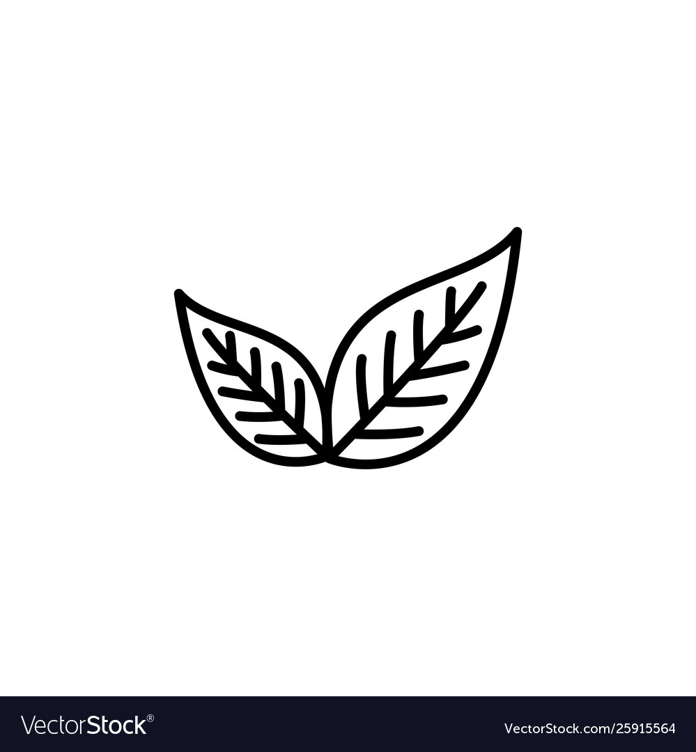 Leaf line icon in flat style for app ui websites vector image Leaf line icon in flat style for app ui websites