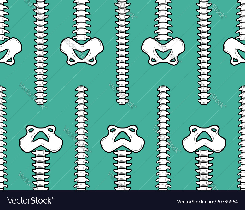 Spine and pelvis seamless pattern bone ornament