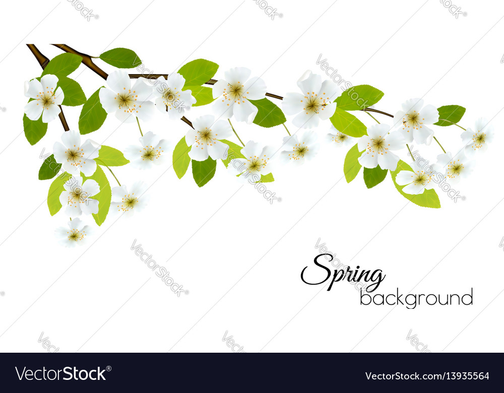Spring background with white flowers Royalty Free Vector