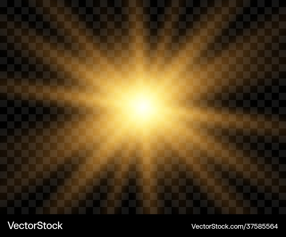 Sunlight on a transparent background Royalty Free Vector
