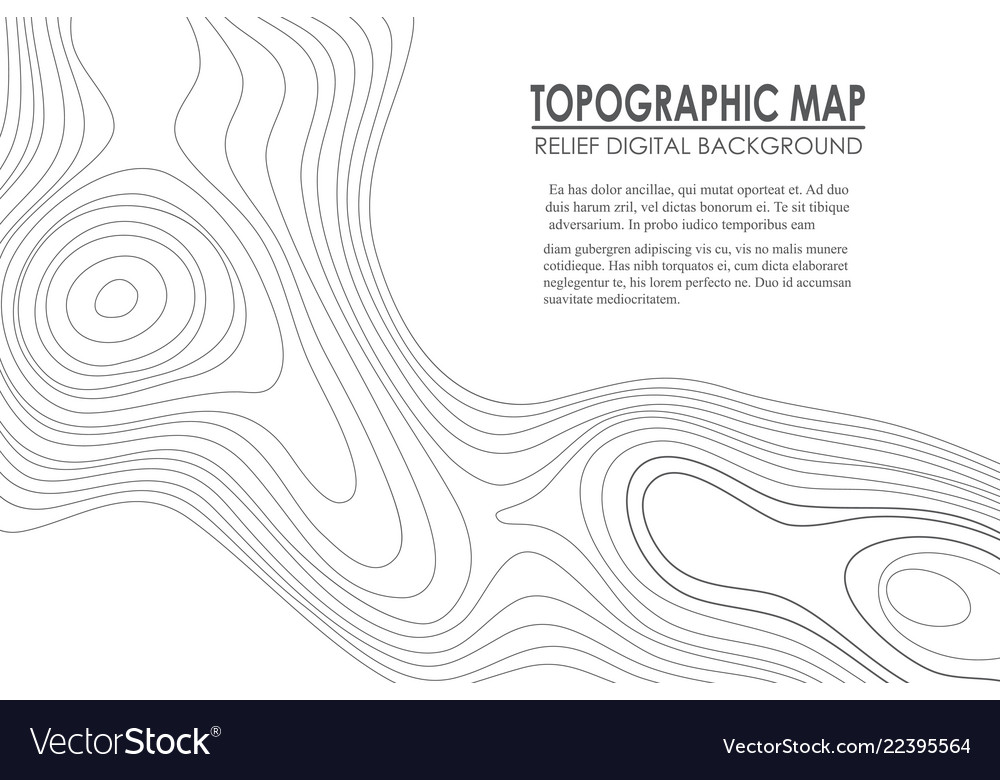 Topographic map contour background line vector image Topographic map contour background line