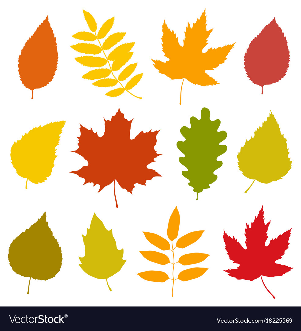 Set isolated colorful autumn leaves silhouettes Vector Image