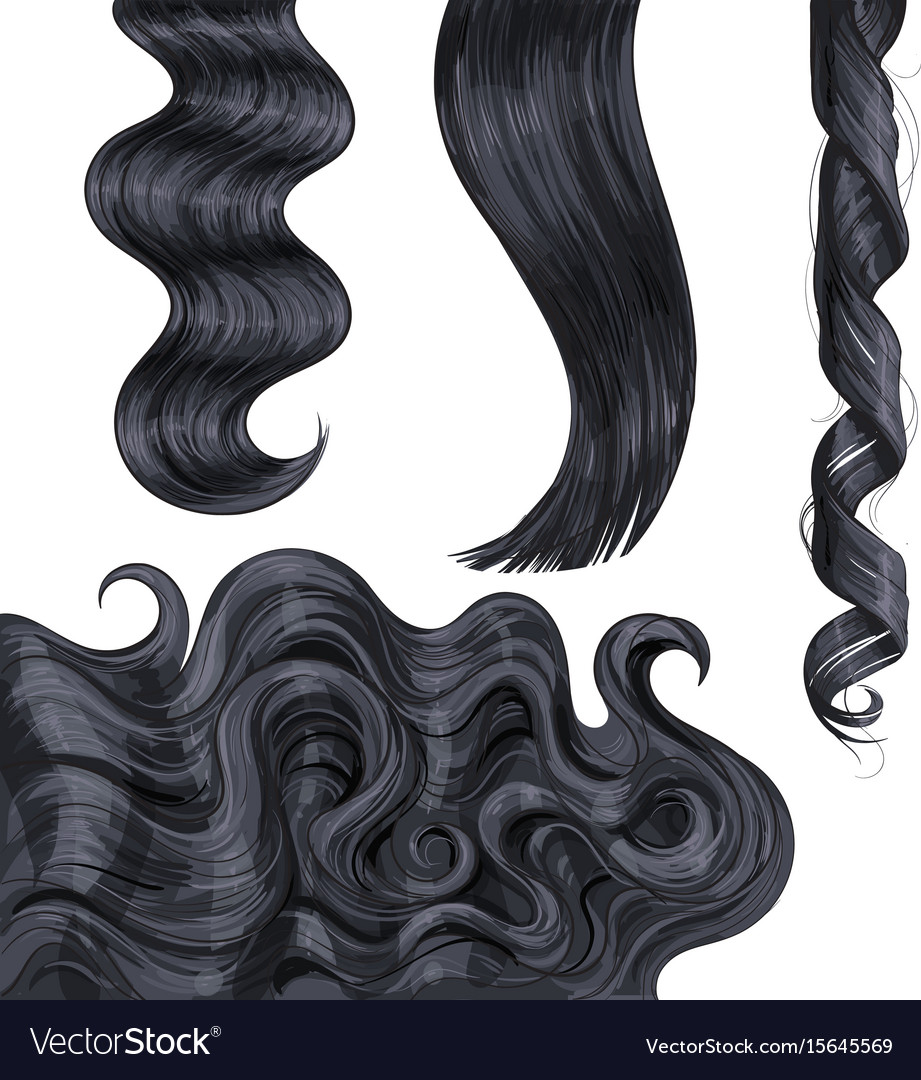 Shiny Long Black Fair Straight And Wavy Hair Vector Image