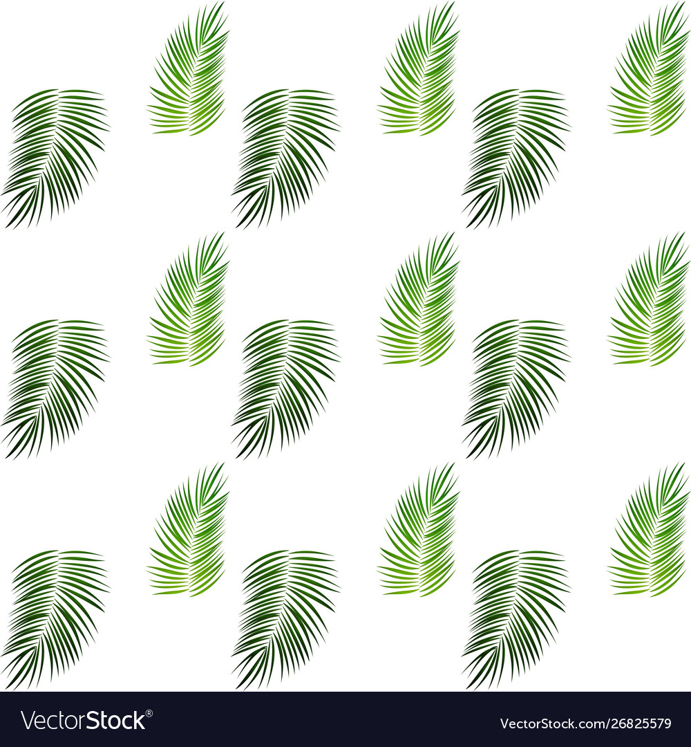 Palm trees on white background seamless pattern vector image Palm trees on white background seamless pattern