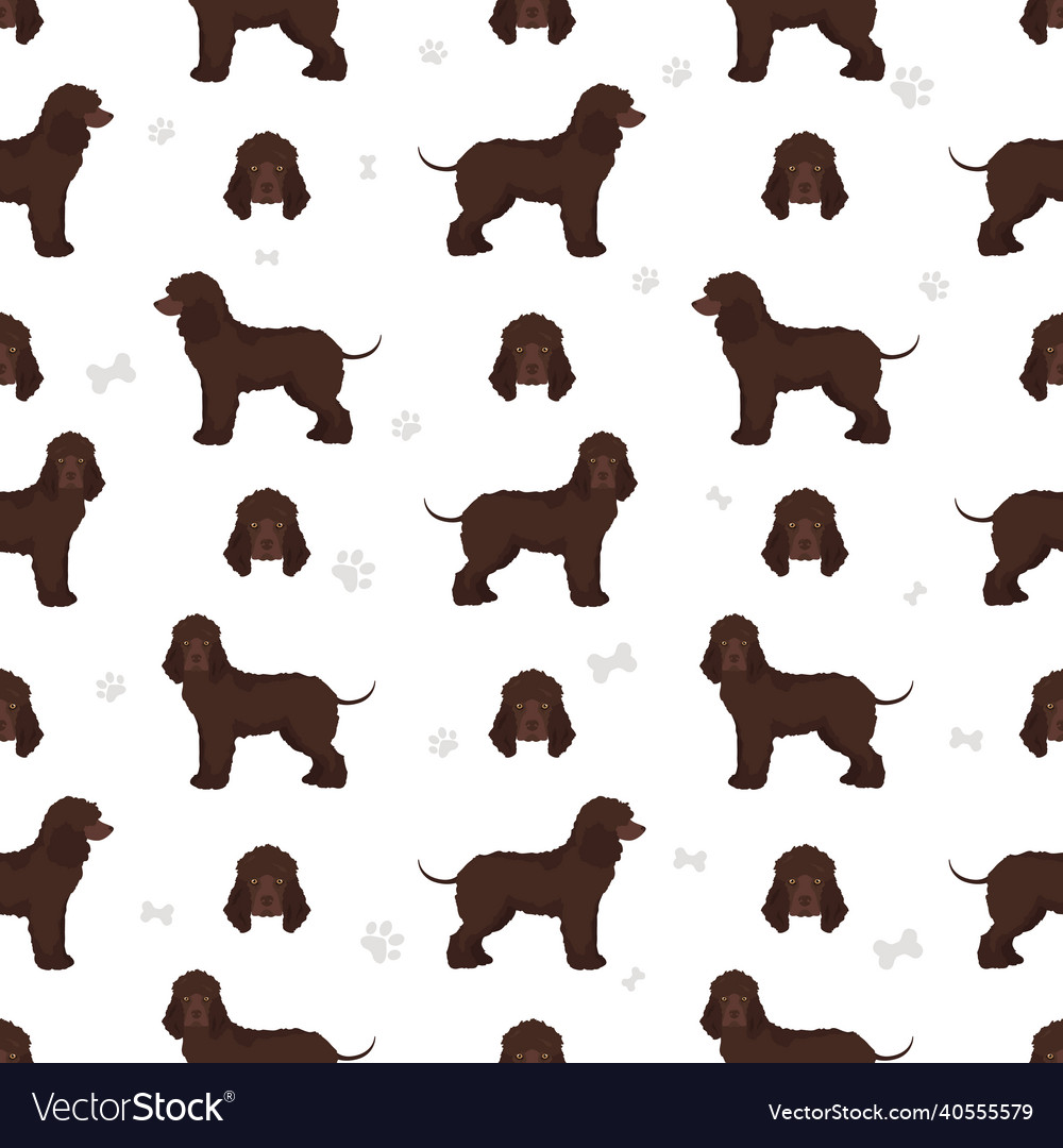 Seamless pattern different vector image Seamless pattern different