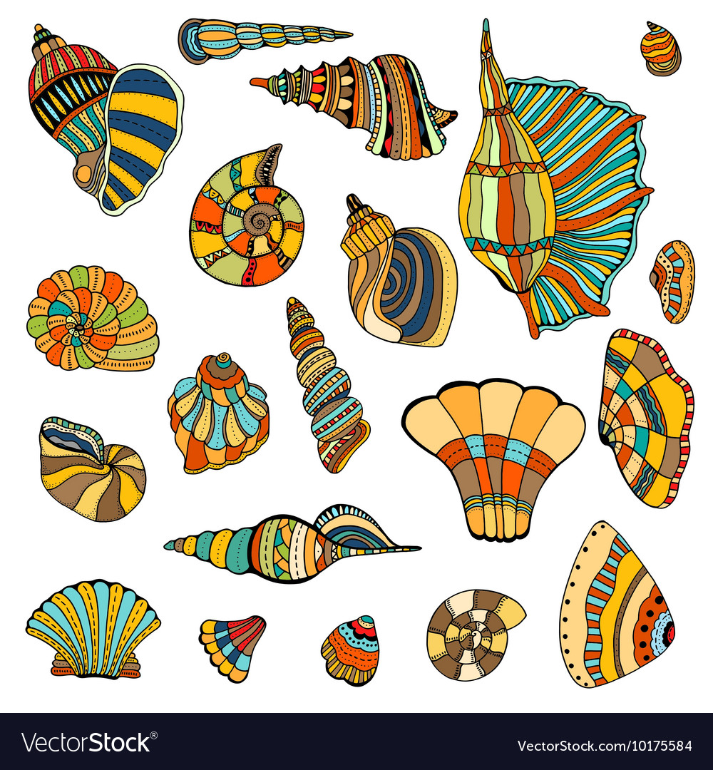 Seashell set collection